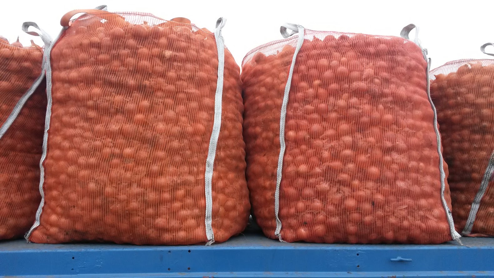 Bolsones big bag para cebolla